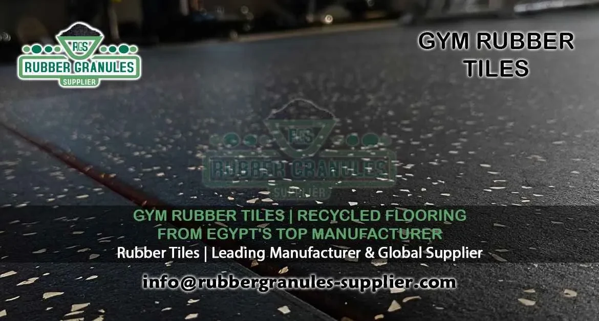 Gym Rubber Tiles | Recycled Flooring from Egypt's Top Manufacturer