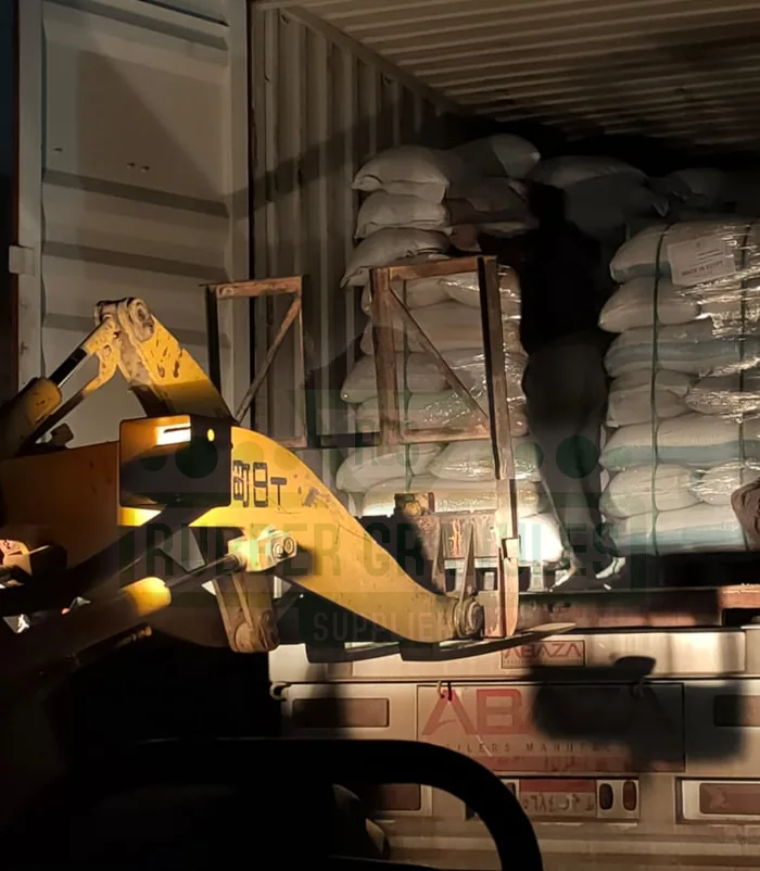 Carga de productos de caucho en contenedor para exportación